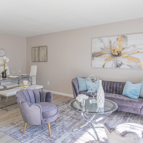 Open space living area with natural lighting